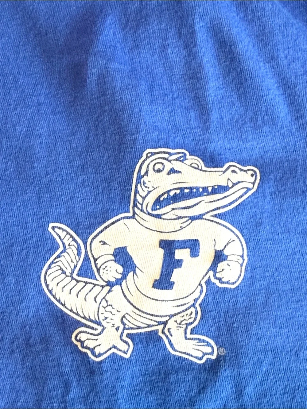 Nike Florida Gators Blue Graphic T-Shirt Men’s Large NCAA Athletic Tee